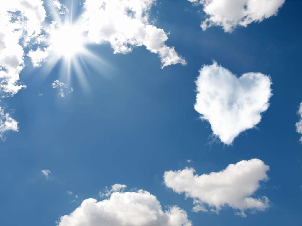                                                              Яндекс.Картинки