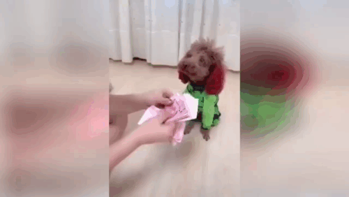 Материал взять из простора YouTube, с пометной свободное распространение.