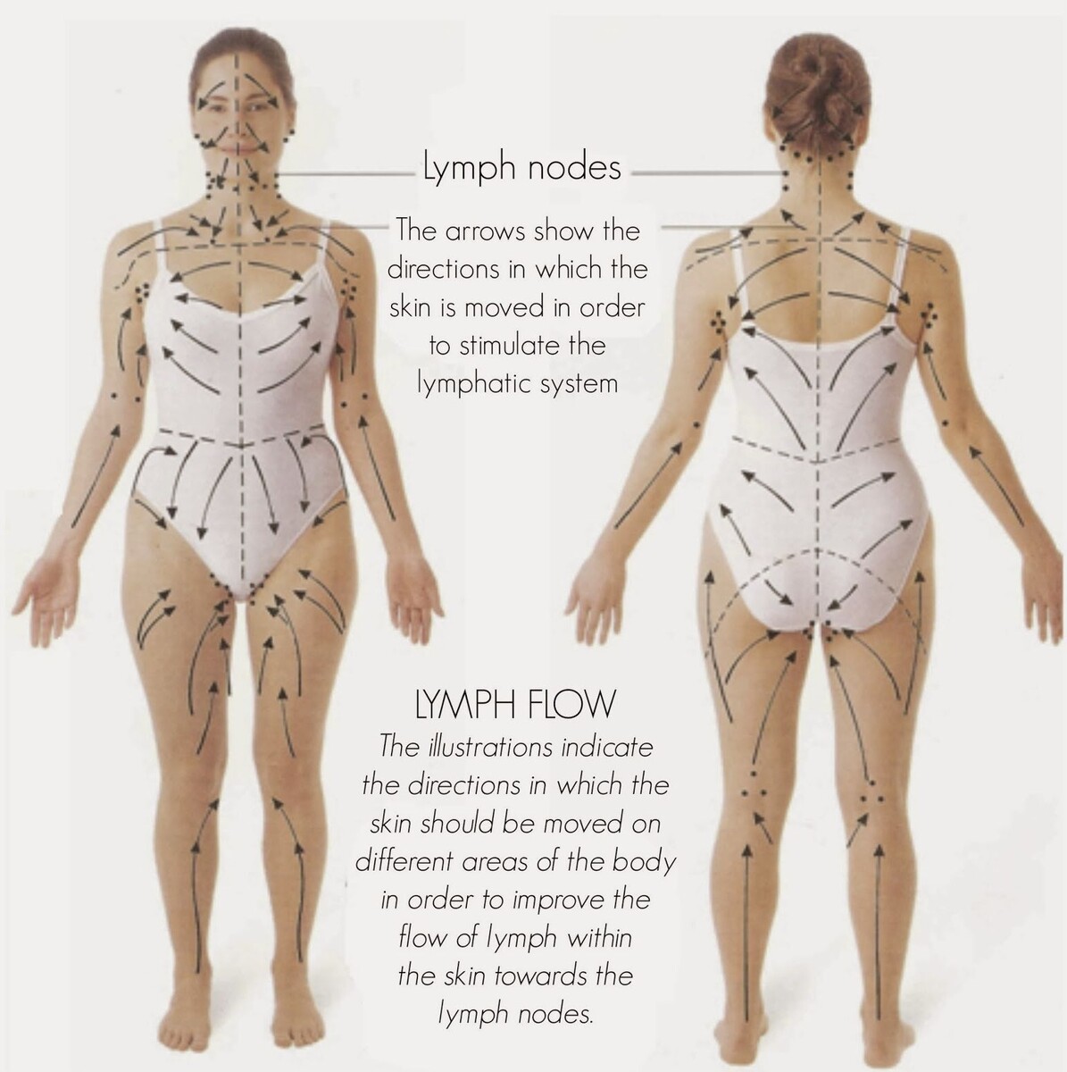 Для сухого массажа всего тела стоит использовать эту схему. 
Источник: http://lookbio.ru