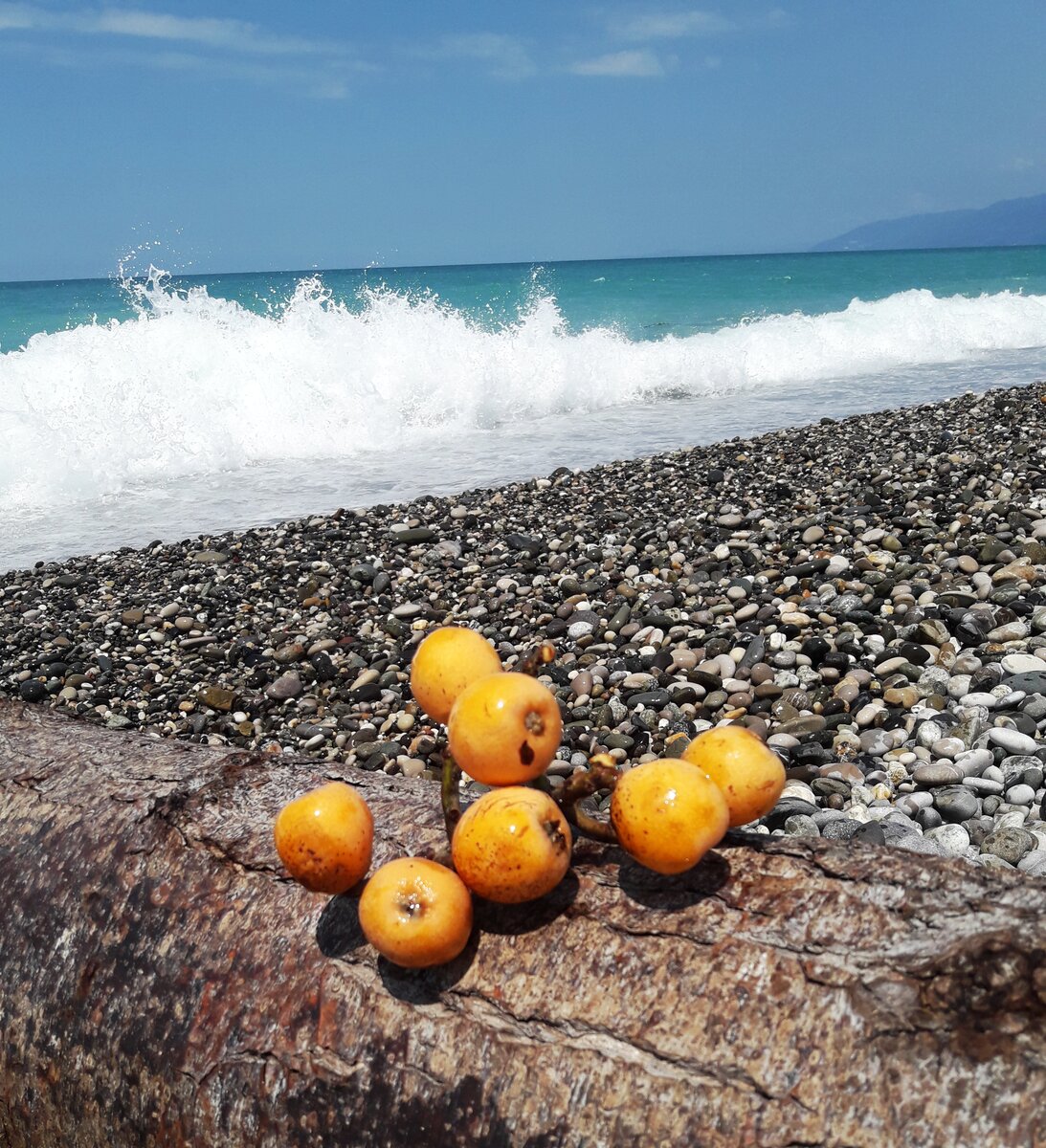 фрукты на море