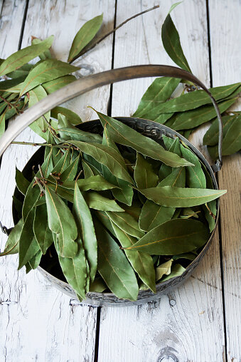 Источник фото: wday.ru