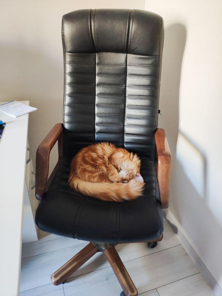 Чай от безденежья. Рецепт