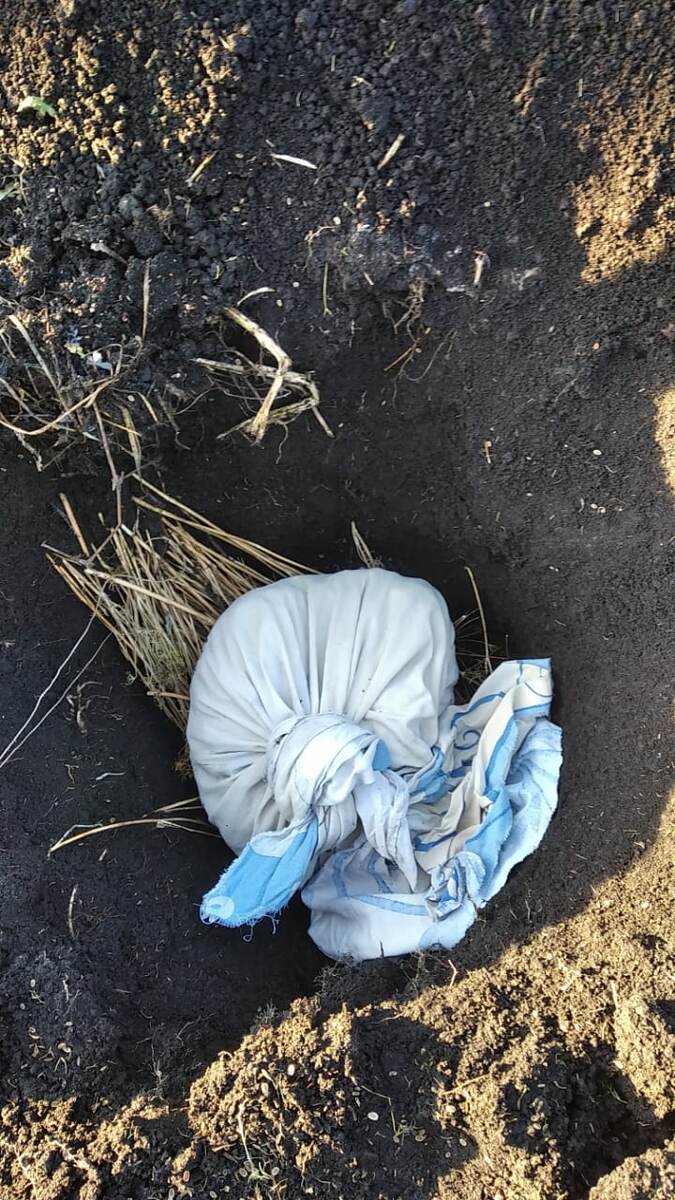 Фото от автора