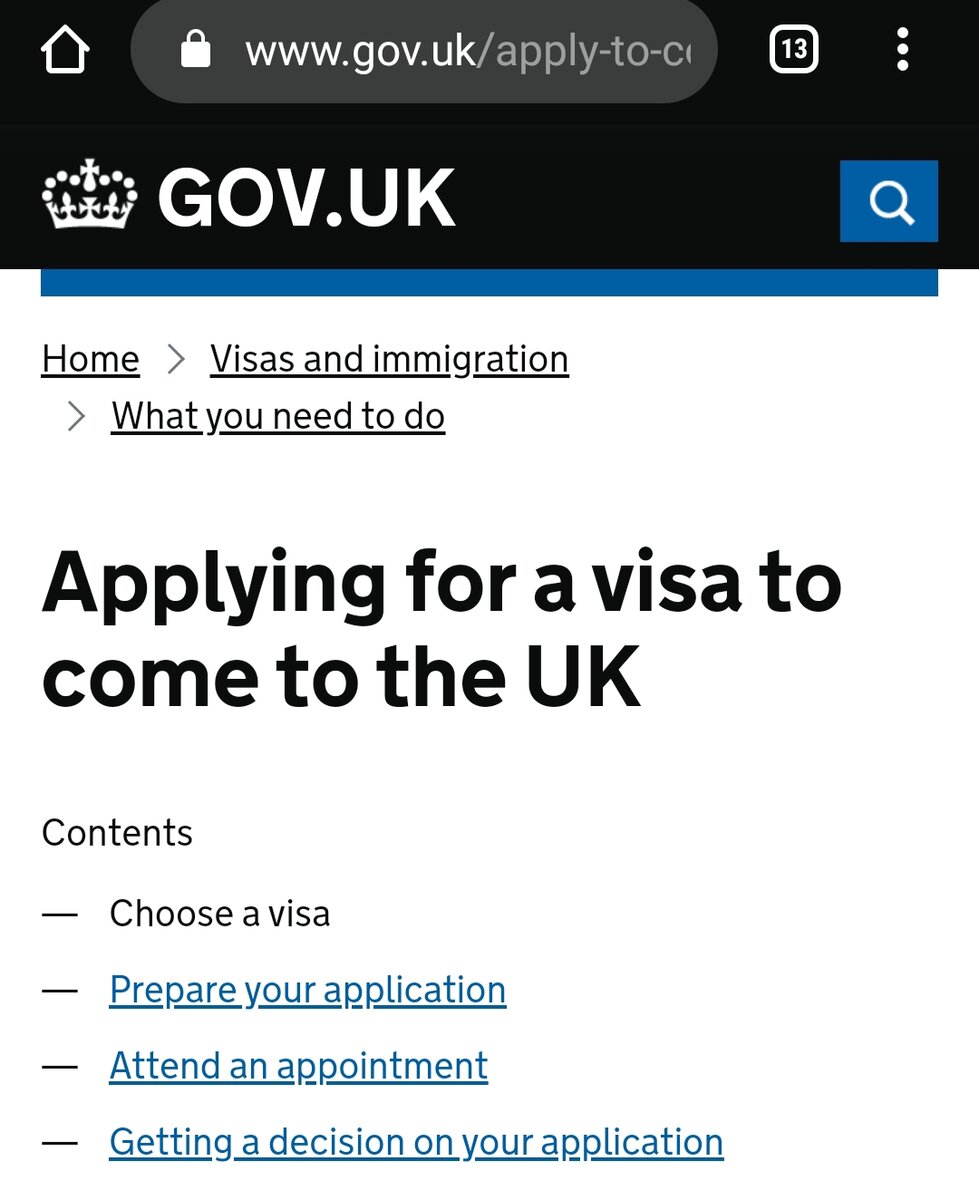 Здесь вы заполняете анкету и оплачиваете визу.