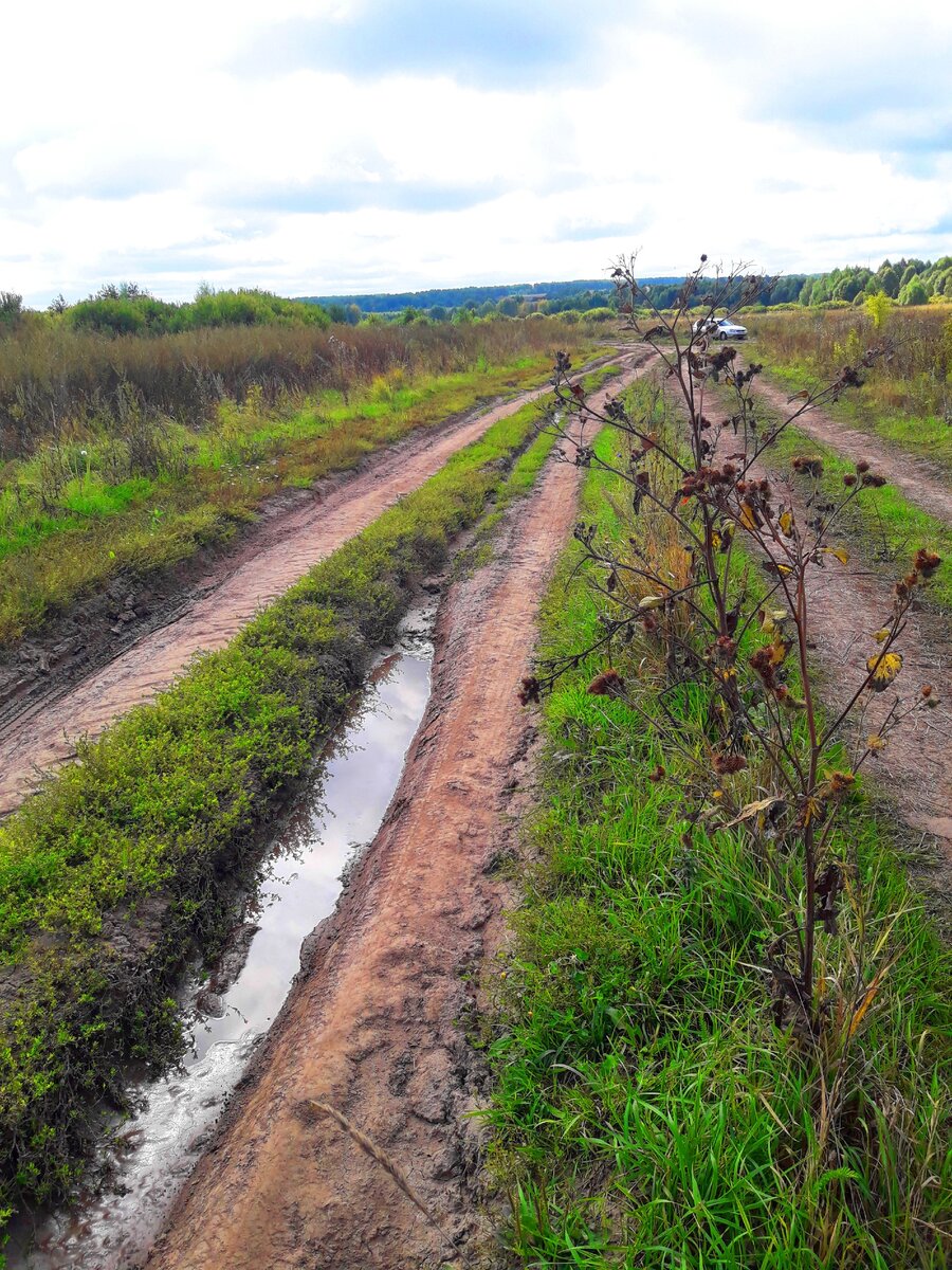 Старинное село Сумки, пережившее затопление, дорога трудная, но люди сюда  едут со всей России, и я вернусь еще не раз | Под зонтиком | Дзен