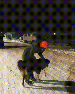 не могу спокойно пройти мимо любого пса
