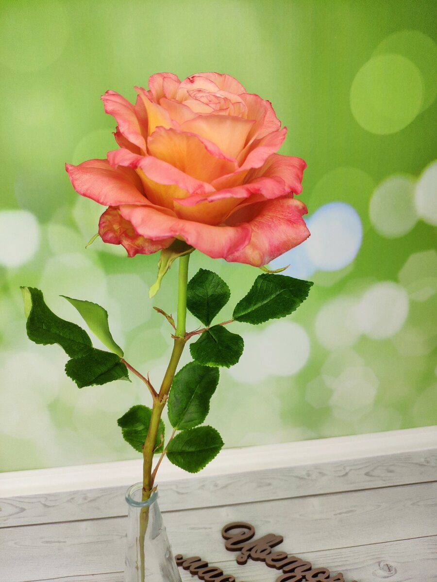 Роза из холодного фарфора. Фото из личного архива