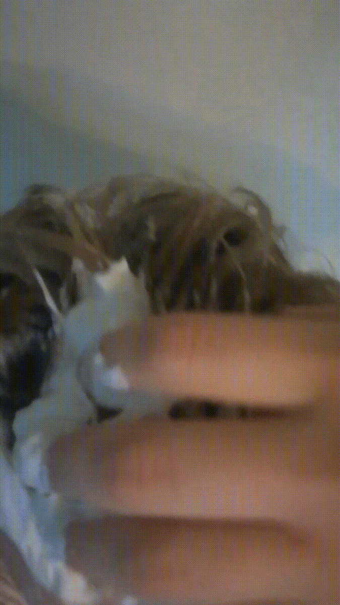 Оставьте минуты на 2, затем смойте.