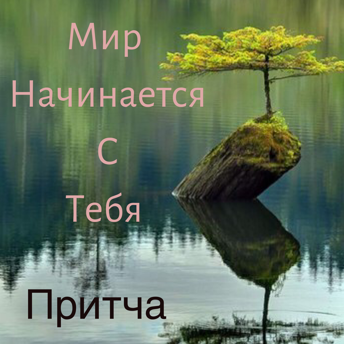 Умирает женщина, и к ней приходит Смерть. Женщина, увидев Смерть, улыбнулась и сказала, что готова.
— К чему ты готова? – спросила Смерть.
— Я готова, чтобы Бог забрал меня к себе в Рай! – ответила женщина.
— А почему ты решила, что Бог тебя к себе возьмёт? – спросила Смерть.
— Ну как же? Я столько страдала, что заслужила покой и любовь Бога – ответила женщина.
— От чего именно ты страдала? – спросила Смерть.
— Когда я была маленькой, меня всегда несправедливо наказывали родители. Они били меня, ставили в угол, кричали на меня, словно я совершила что-то ужасное. Когда я училась в школе мои одноклассники издевались надо мной и тоже били и унижали. Когда я вышла замуж, мой муж всё время пил и изменял мне. Мои дети всю душу измотали мне, а в итоге даже на мои похороны не пришли. Когда я работала, мой начальник всё время кричал на меня, задерживал зарплату оставлял меня по выходным, а потом вообще уволил, не заплатив мне. Соседи сплетничали обо мне за моей спиной, наговаривали, будто я гулящая женщина. А однажды на меня напал грабитель и украл мою сумку и изнасиловал меня.
— Ну а что ты сделала хорошего в своей жизни? – спросила Смерть.
— Я всегда была ко всем добра, ходила в церковь, молилась, обо всех заботилась, тянула всё на себе. Я испытала столько боли от этого мира, как и Христос, что заслужила Рай..
— Ну хорошо… – ответила Смерть – я тебя поняла. Осталась маленькая формальность. Подписать один договор и прямиком в Рай.

Смерть протянула ей листок с одним предложением, под которым нужно было поставить галочку. Женщина посмотрела на Смерть и, словно её окатили ледяной водой, сказала, что не может поставить галочку под этим предложением. На листке написано было: «Я прощаю всех моих обидчиков и прошу прощения у всех, кого обидела я».
— Почему ты не можешь простить их всех и попросить прощения? – спросила Смерть.
— Потому что они не заслужили моего прощения, потому что, если я их прощу, это значит, ничего и не было, это значит, они не ответят за свои деяния. А мне просить прощения не у кого.. Я никому ничего плохого не сделала!
— Ты уверена в этом? – спросила Смерть.
— Абсолютно!
— Что ты чувствуешь к тем, кто тебе причинил столько боли? – спросила Смерть
— Я чувствую гнев, злость, обиду! Это несправедливо, что я должна забыть и стереть из памяти то зло, что совершили по отношению ко мне люди!
— А что если ты их простишь и перестанешь испытывать эти чувства? – спросила Смерть.
Женщина на какое-то время задумалась и ответила, что внутри настанет пустота!
— Ты всегда испытывала эту пустоту в сердце, и эта пустота обесценивала тебя и твою жизнь, а те чувства, которые ты испытываешь, придают значимости твоей жизни. А теперь ответь, почему ты испытываешь пустоту?
— Потому что я всю жизнь думала, что те, кого я любила, и те, ради кого я жила, оценят меня, а в итоге они разочаровали меня. Я отдала свою жизнь мужу, детям, родителям, друзьям, а они это не оценили и оказались неблагодарными.!
— Перед тем как Бог попрощался со своим сыном и отпустил его на землю, он произнёс ему напоследок одну фразу, которая должна была помочь ему осознать жизнь в себе и себя в этой жизни..
— Какую? – спросила женщина.
— МИР НАЧИНАЕТСЯ С ТЕБЯ..!
— Что это значит?
— Вот и он не понял, о чём это ему сказал Бог… Это о том, что за всё, что в твоей жизни происходит, ответственность несёшь только ты! Страдать тебе или быть счастливой ВЫБИРАЕШЬ ты! Так объясни мне, кто именно тебе причинил столько боли?
— Получается я сама себе… — дрожащим голосом ответила женщина.
— Так кого ты не можешь простить?
— Себя? – плачущим голосом ответила женщина.
— Простить себя — это значит признать свою ошибку! Простить себя — это значит принять своё несовершенство! Простить себя — это значит открыться для самой себя! Ты причинила сама себе боль и решила, что в этом виноват весь мир, и они не заслуживают твоего прощения… И ты хочешь, чтобы Бог принял тебя с распростёртыми объятьями?! Ты решила, что Бог похож на мягкотелого глупого старика, который откроет двери для глупцов и злобных страдальцев?! Ты думаешь, что он сотворил совершенное место для таких, как ты? Вот когда сотворишь свой собственный рай, где в первую очередь тебе, а потом и остальным, будет хорошо, вот тогда и постучишь в двери небесной обители, а пока Бог дал мне указания отправить тебя снова на землю, чтобы ты научилась создавать мир, в котором царит любовь и забота. А тот, кто не может позаботиться о себе, живёт в глубоком заблуждении, что он может позаботиться о других. Знаешь, как Бог наказывает женщину, которая себя считает идеальной матерью?
— Как? – спросила женщина.
— Он посылает ей детей, чьи судьбы ломаются на её глазах…
— Я поняла… Я не смогла сделать своего мужа любящим и преданным. Не смогла детей вырастить счастливыми и успешными. Не смогла сохранить очаг, где были бы мир и гармония… В моём мире все страдали…
— Почему? – спросила Смерть.
— Я хотела, чтобы все меня жалели и сострадали.. Но никто так и не пожалел меня.. И я подумала, что Бог меня точно пожалеет и обнимет!
— Запомни, что самые опасные люди на земле это те, кто хочет вызвать к себе жалость и сострадание.. Их называют «жертвами».. Ваше самое величайшее невежество заключается в том, что вы думаете, что Богу нужна чья-то жертва! Он никогда не впустит в свою обитель того, кто кроме боли и страдания ничего не познал, ибо эта жертва будет сеять боль и страдание в его мире…! Отправляйся обратно и научись любить и заботиться о себе, а потом и о тех, кто живёт в твоём мире. А для начала попроси у себя прощения за невежество и прости себя за это!

Женщина закрыла глаза и начала путь заново, но только уже под другим именем и у других родителей.