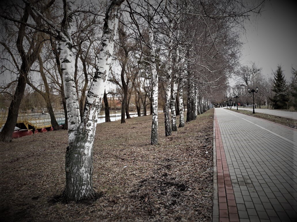 В городском парке сухо, тепло и бесснежно. 