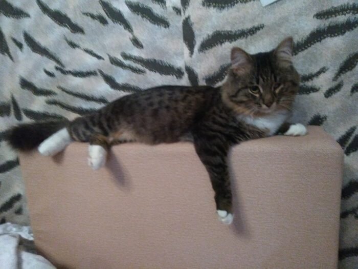  Источник: vk.com