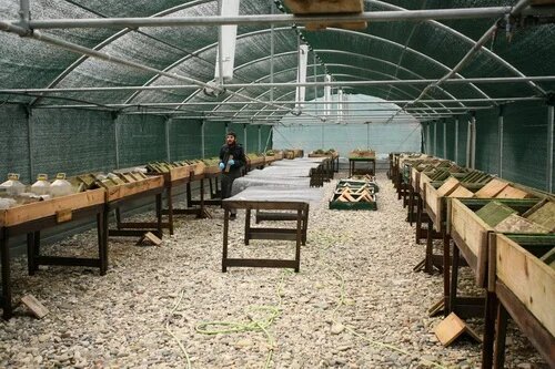 http://mucin-snail.ru/ производство и продажа натурального муцина