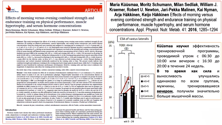 Бодрый Бобёр 40+ (Результаты исследований - 1)