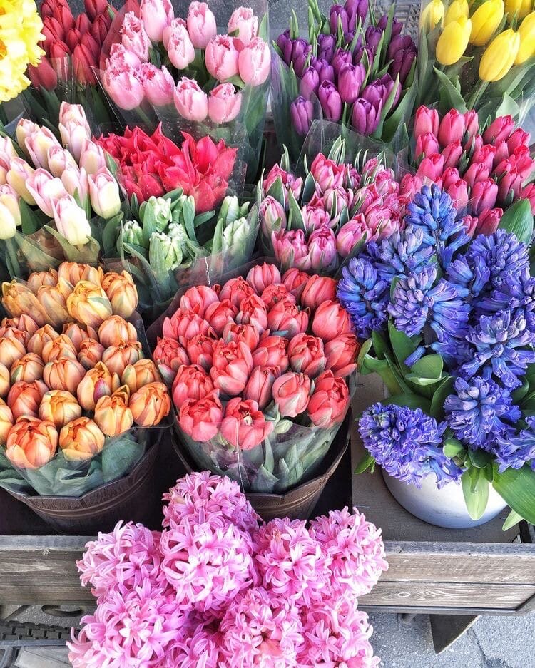 Источник Яндекс.Картинки