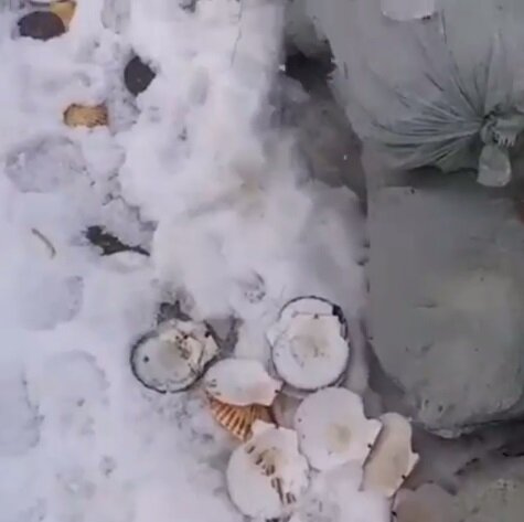Кадры из видео: @chp_sakhalin