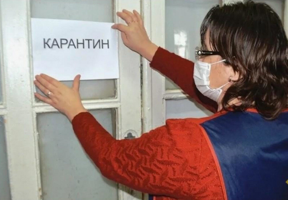 Фото: Воронежские новости