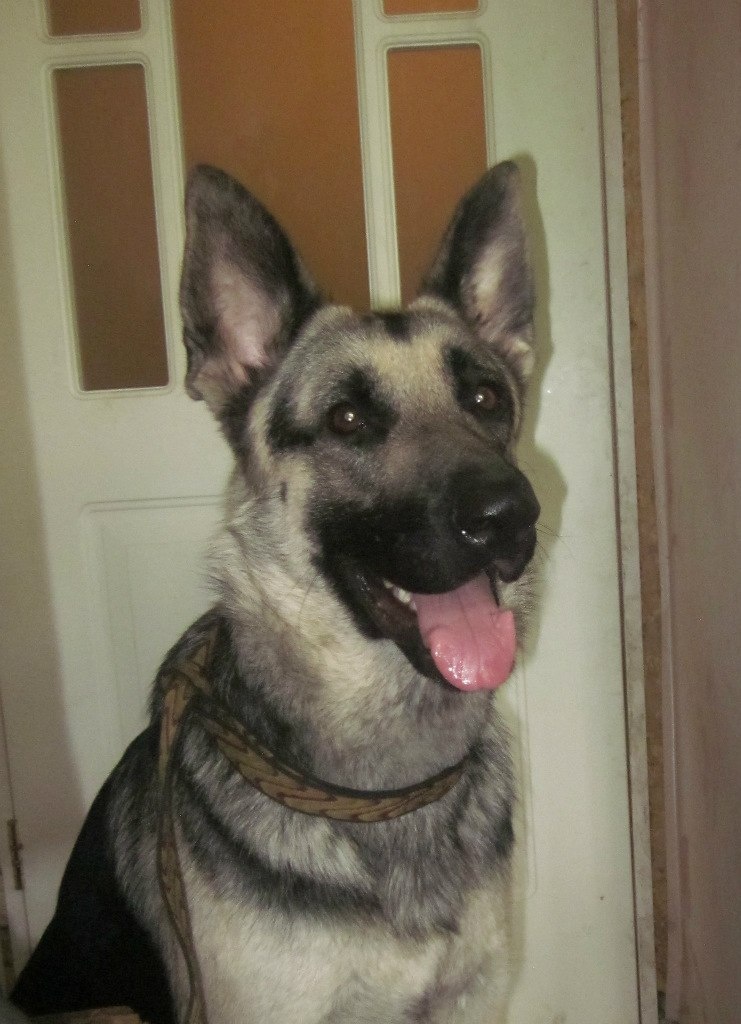 Такими стали !