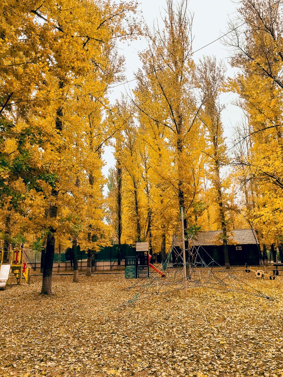 Осень 2019