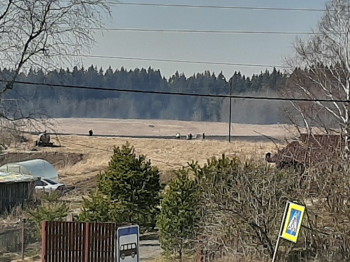 На фото видно людей в поле 