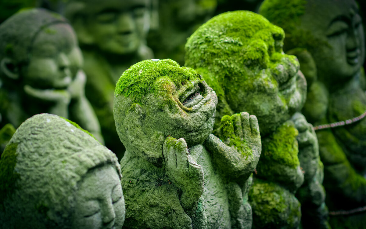 motherware Екатерина Широкова. "Моя мама - андроид". Изображение Rudenko, goodfon.ru