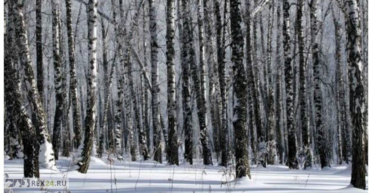 Фото: bolshoyvopros.ru