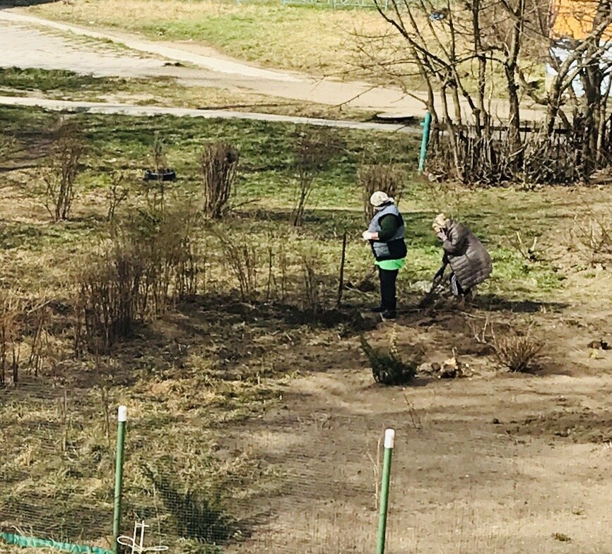 Фото автора