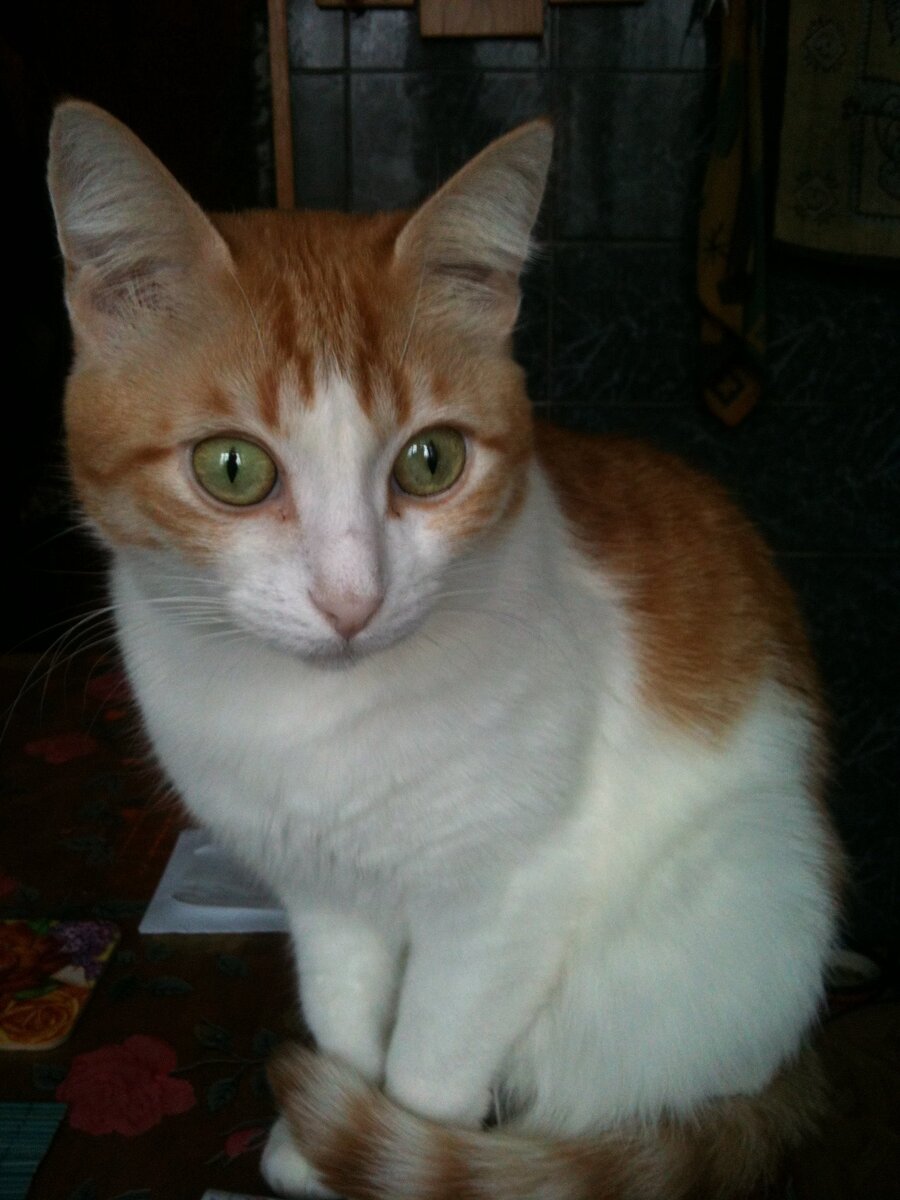 Фото автора