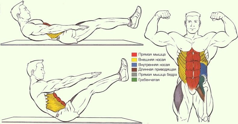 Как правильно качать пресс в домашних условиях: виды упражнений, 5 советов. Спорт-Экспресс