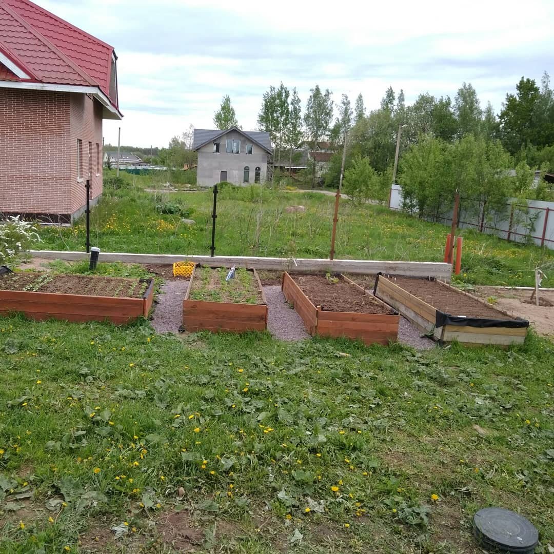 Мой небольшой огородик