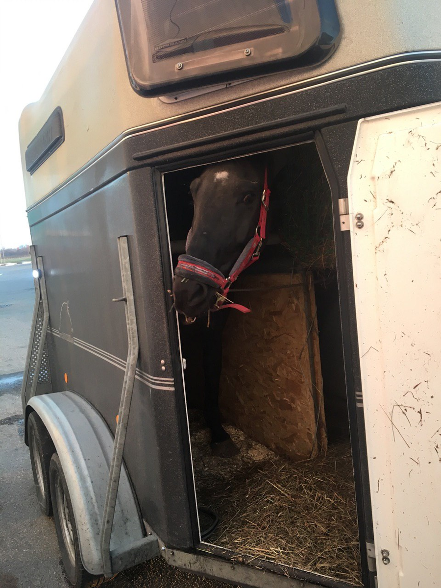 Абхазия на пути в новый дом