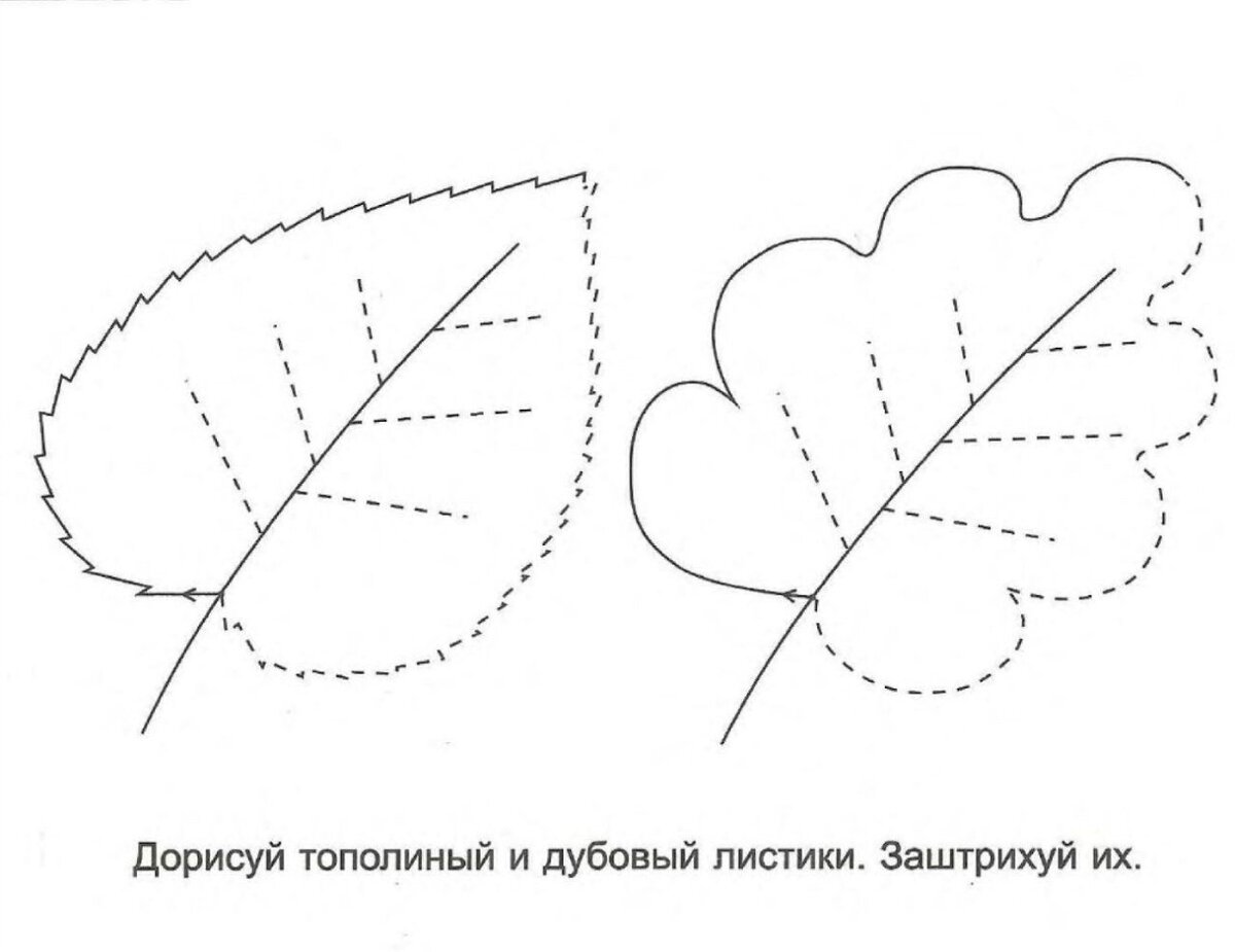 Штриховка осеннего листика для дошкольников