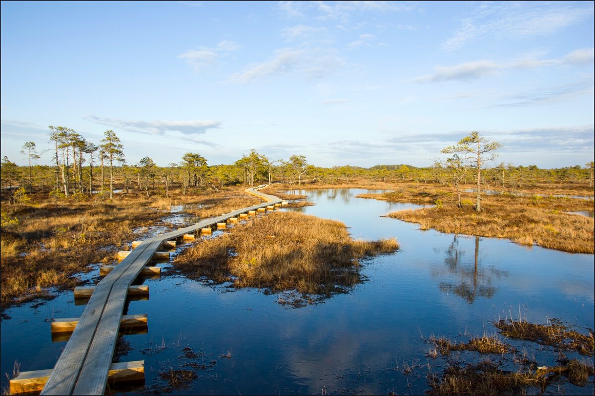 Морские болота. Филиппи болото в Греции. Болото Мяннику,Эстония. Дорога рядом с болотом. Болота у моря.