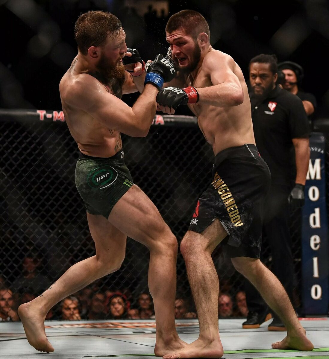 Фото из: https://yandex.ru