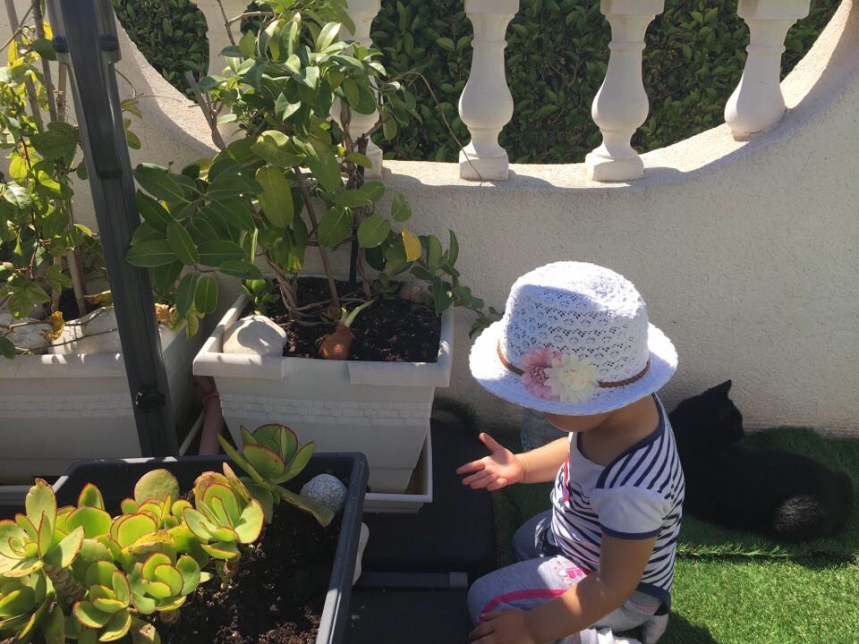 Свежий воздух, но только ДОМА.