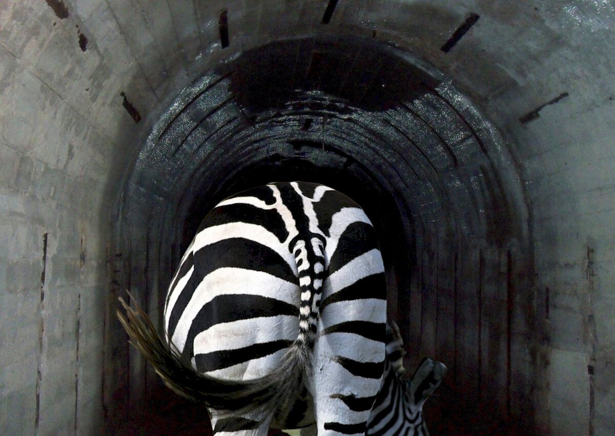 коллаж автора