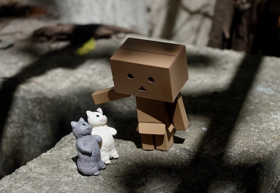 https://cdn.pixabay.com/photo/2019/03/31/11/14/danbo-4092895_960_720.jpg