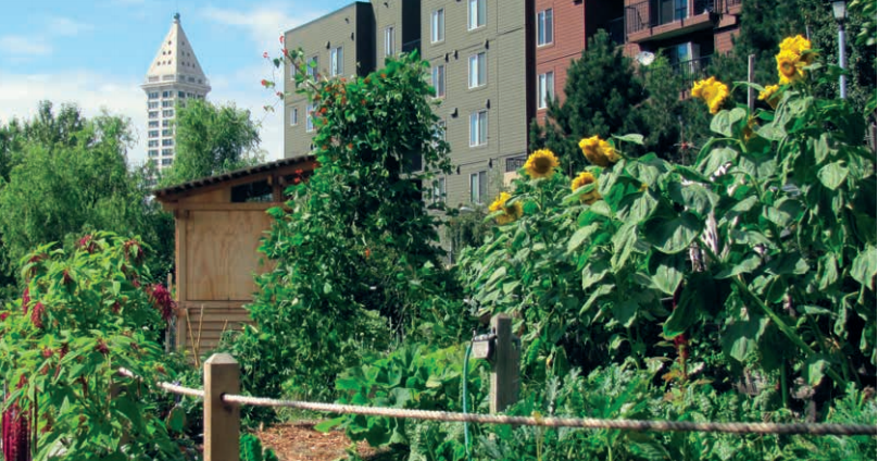 Фото seattle.gov