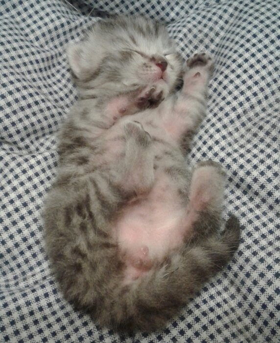 Несколько дней 