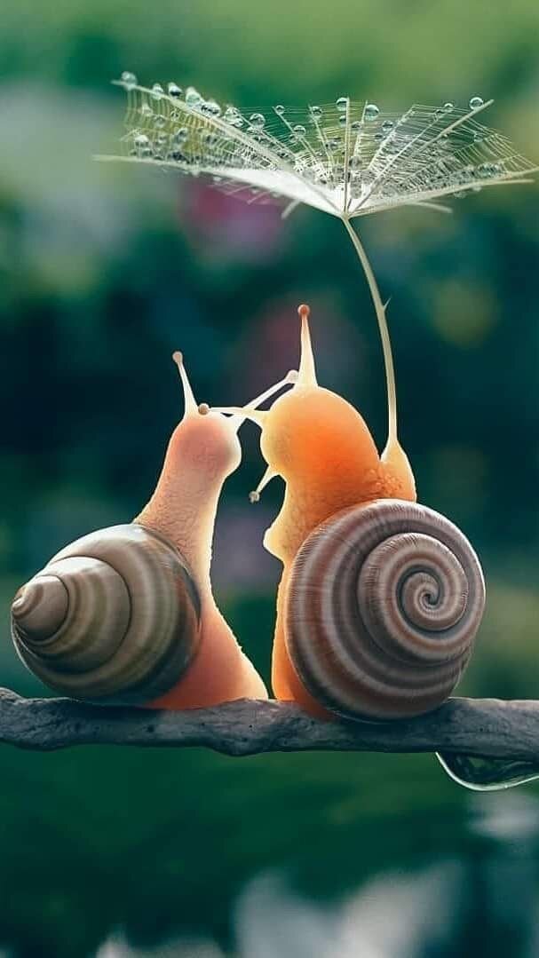 https://www.pinterest.ru/pin/599471400377627986/
