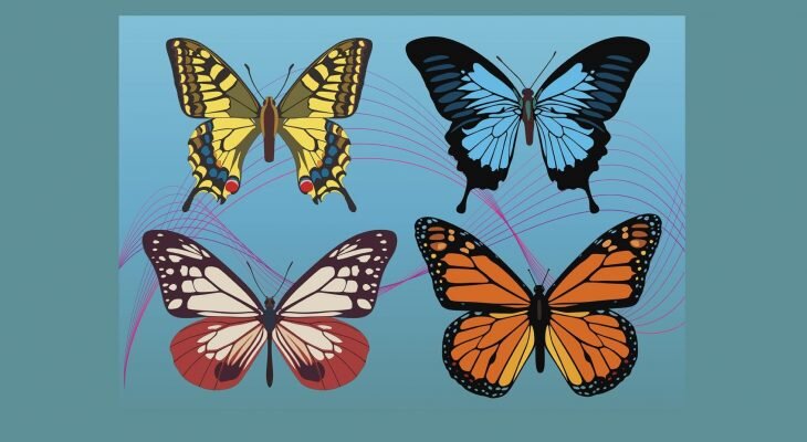 Фотоматериал: pixabay.com/ru/ static.vecteezy.com/