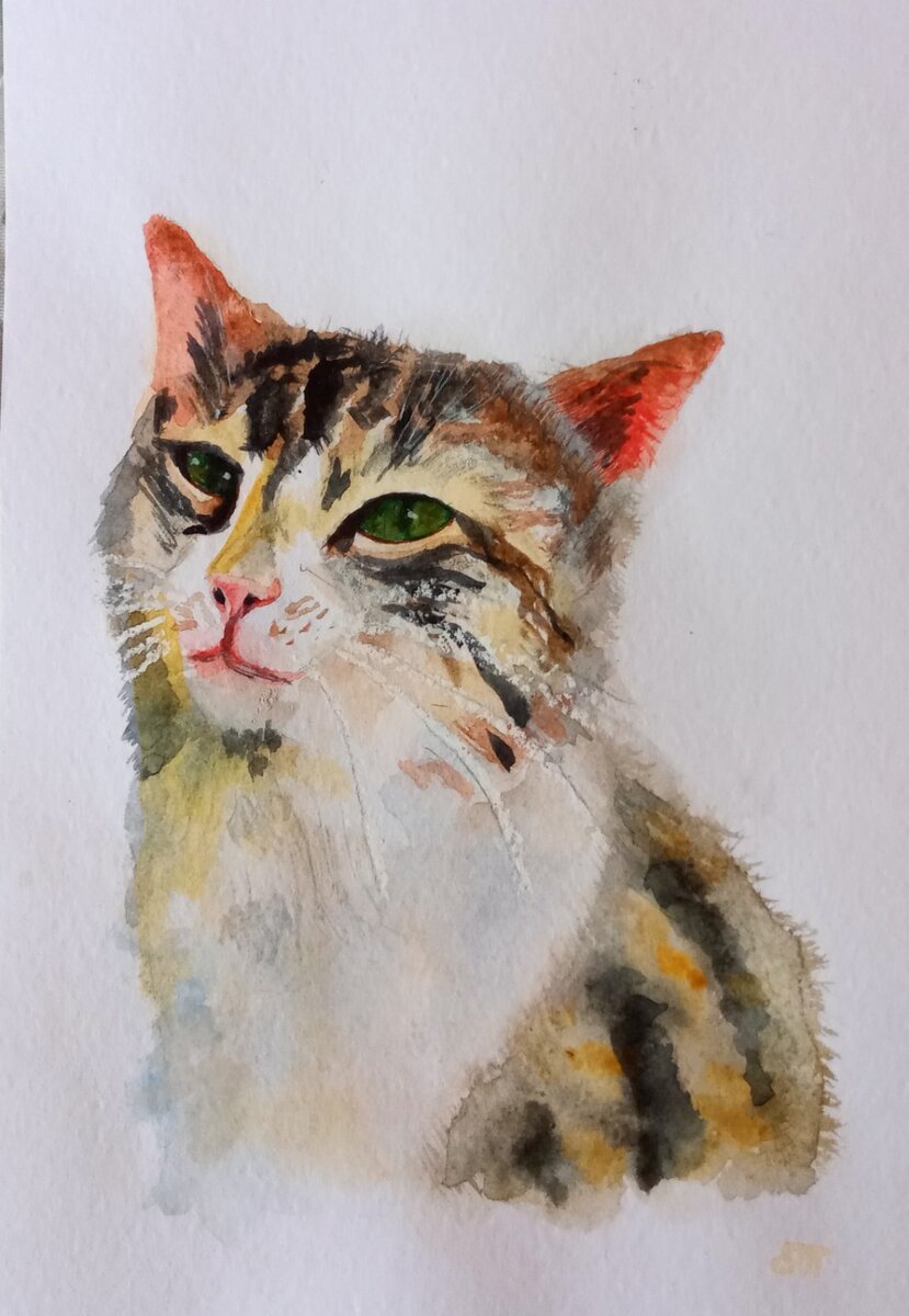 Рисунок автора