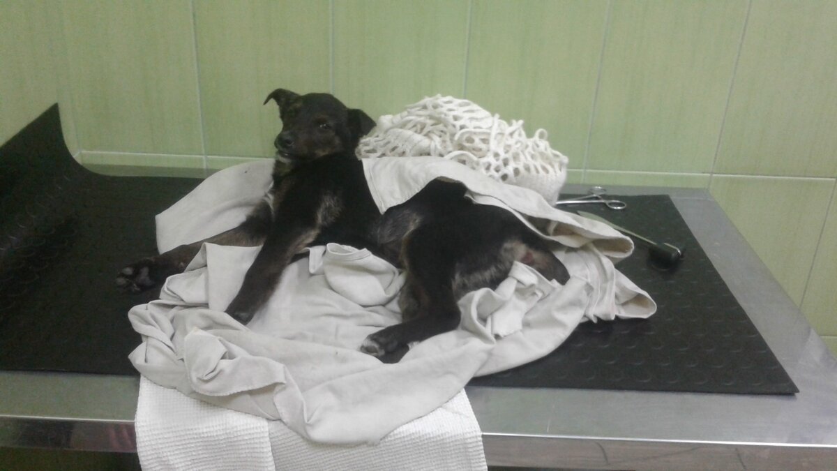 Берточка в клинике