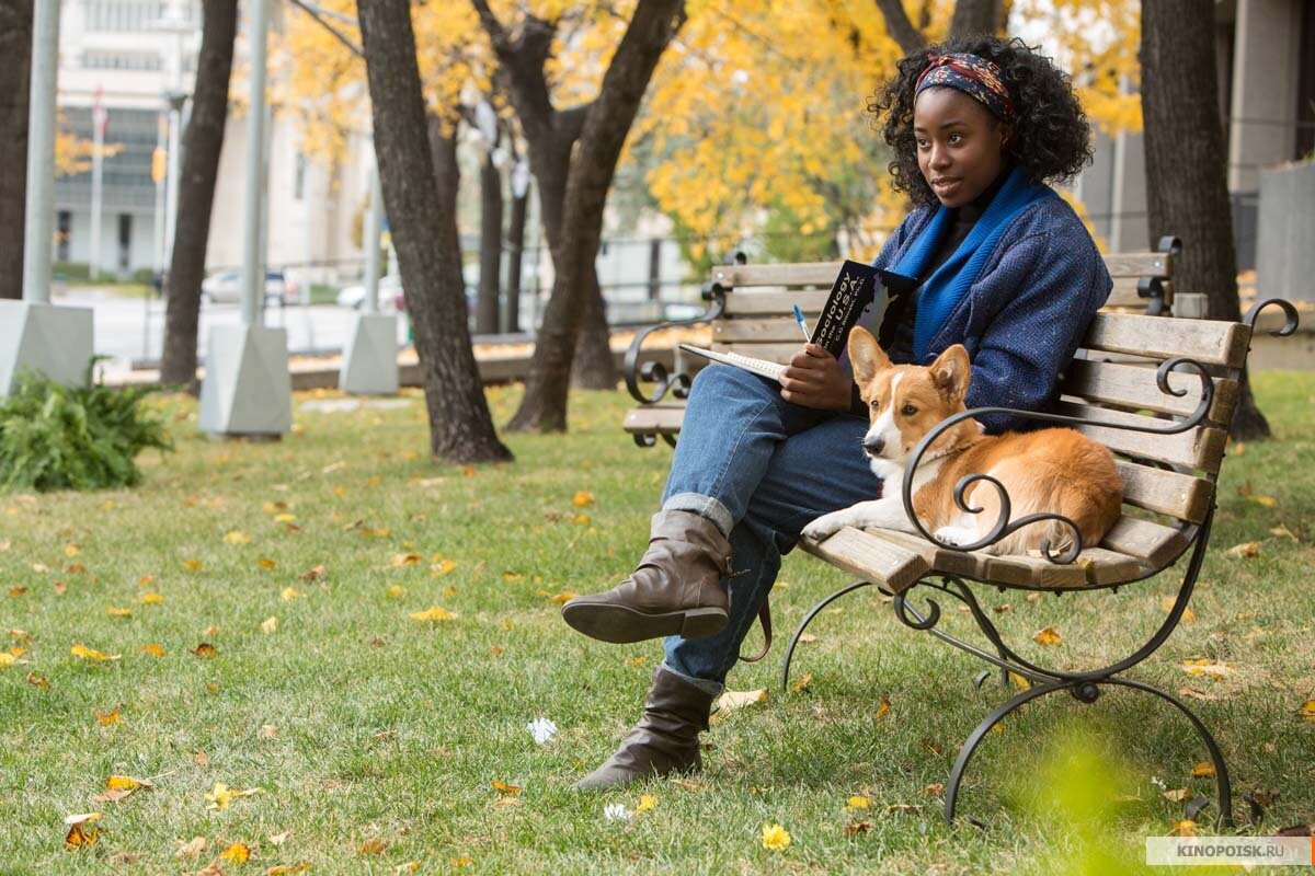 Взято с https://www.kinopoisk.ru/film/571896/stills/