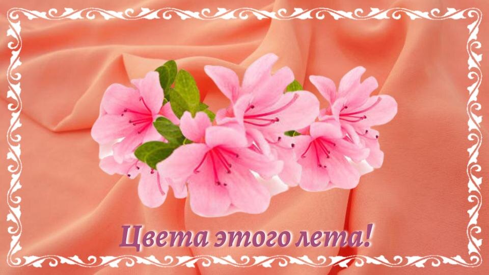 Просто картинки.