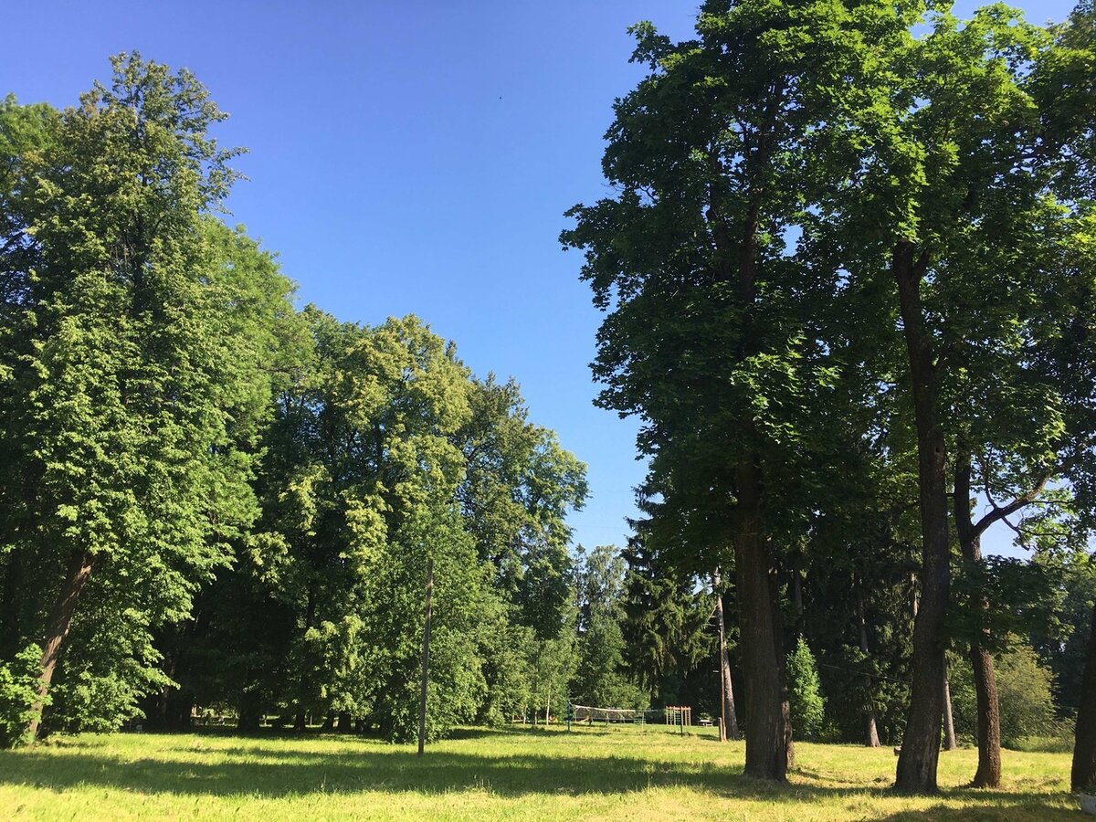 Щегловский парк.