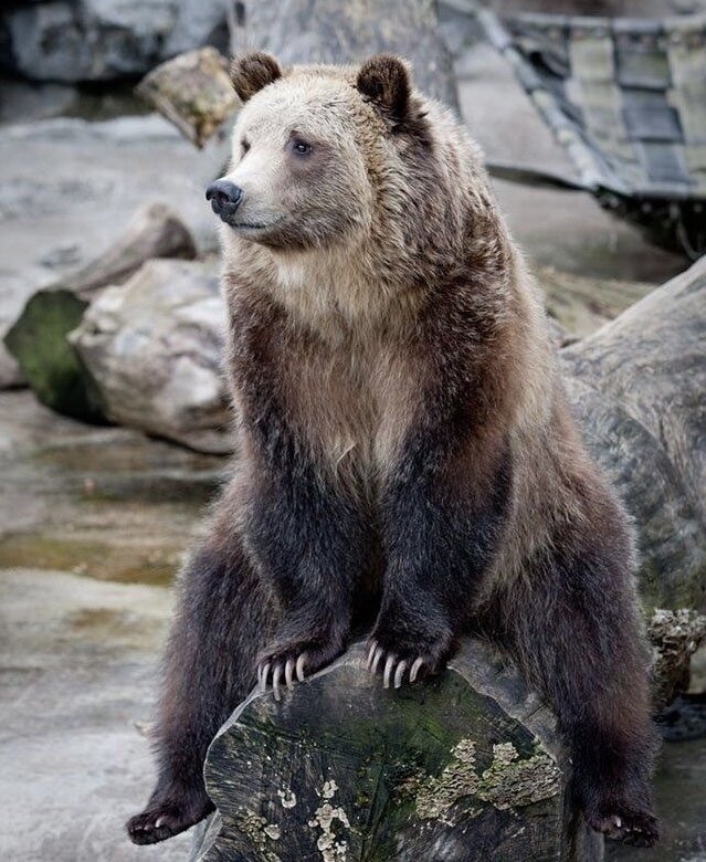 Фото с Pinterest 