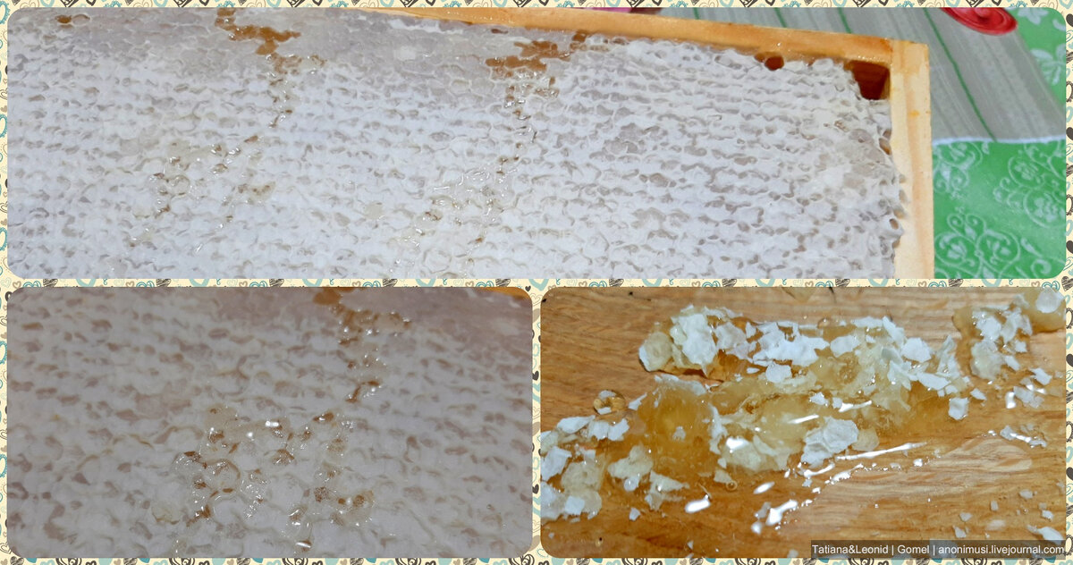 Как правильно хранить мед в сотах?