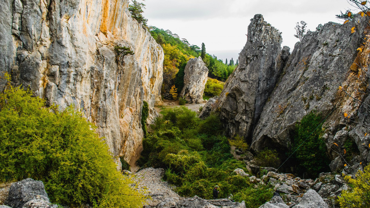 Никитская расщелина, Крым