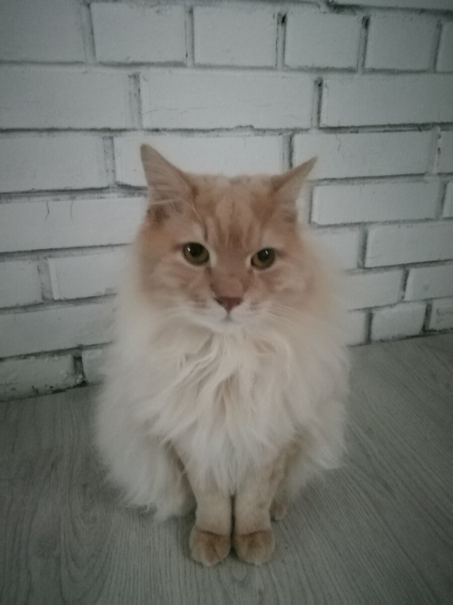                                                                          Это я! 