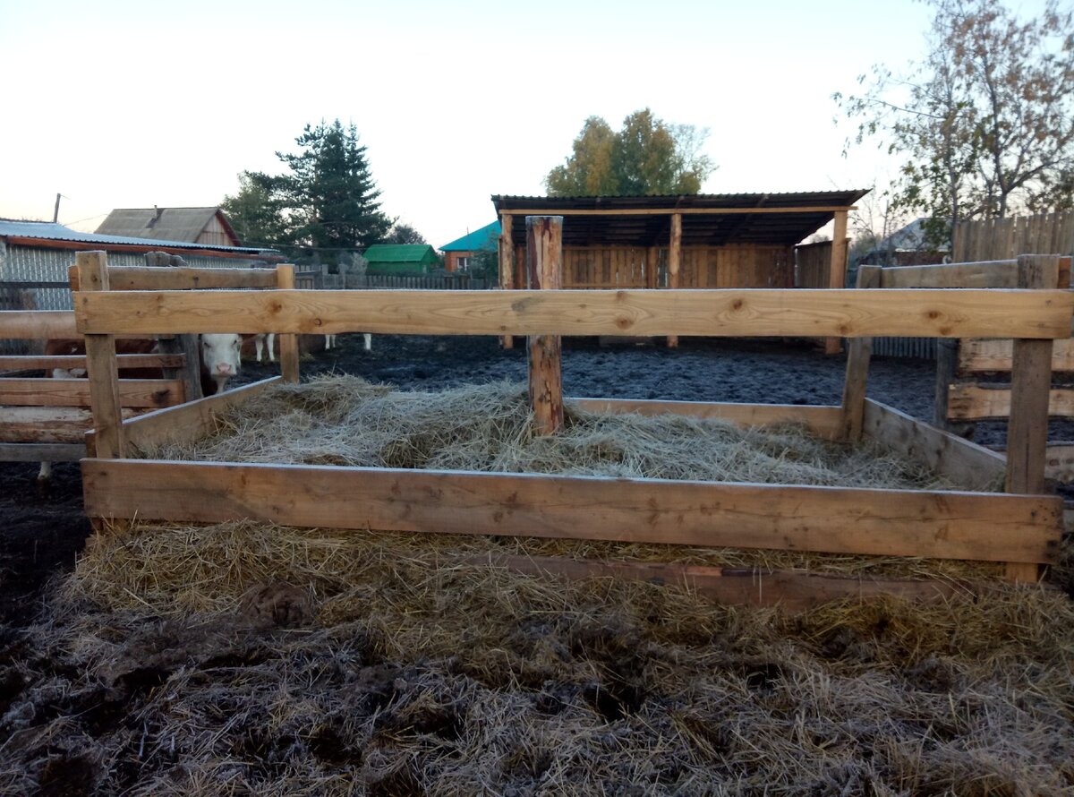 Ясли (кормушка). На следующий год нужно будет удлинять, поголовье-то растет.